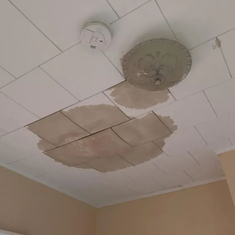 Ceiling Water Damage Repair in Falmouth, KY