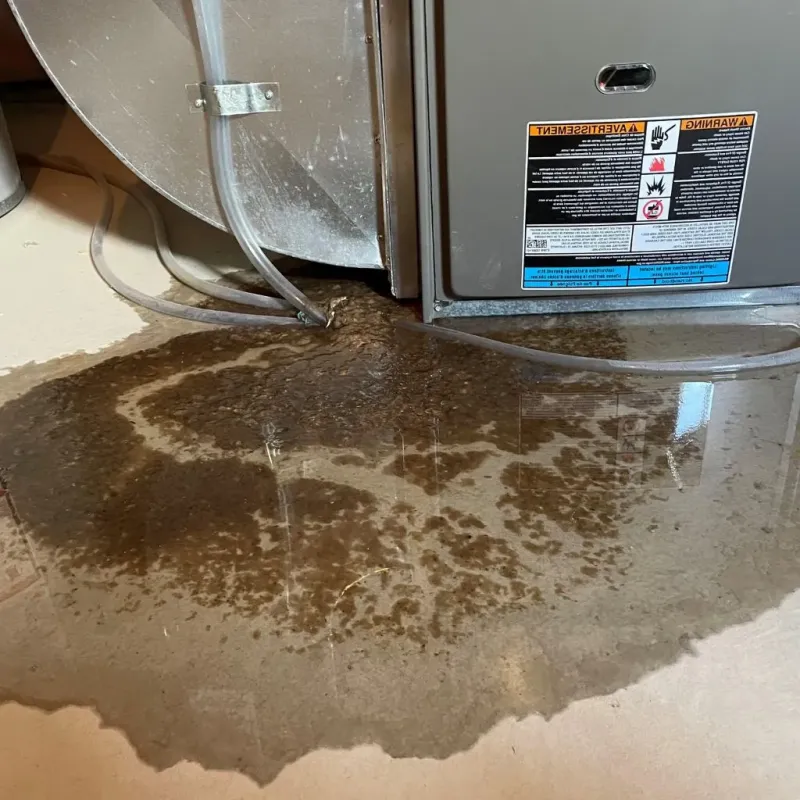 Pipe Burst and Leak Restoration in Falmouth, KY