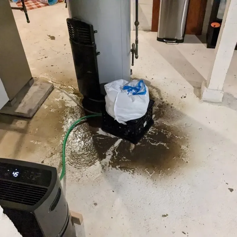 Sewage Backup Cleanup Service in Falmouth, KY